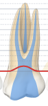 P_PT_view.png